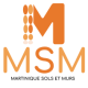 Logo MSM-04